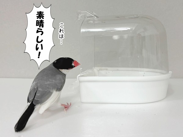 ぼくは世帯主だから : ブンチョ日誌 Powered by ライブドアブログ