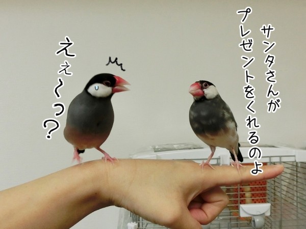 ああもう1ヶ月前なんですね ブンチョ日誌 Powered By ライブドアブログ ああもう1ヶ月前なんですね ブンチョ日誌 Powered By ライブドアブログ