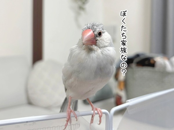 ぼくは世帯主だから : ブンチョ日誌 Powered by ライブドアブログ