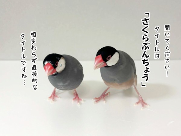 タイトル「さくらぶんちょう」 : ブンチョ日誌 Powered by ライブドア