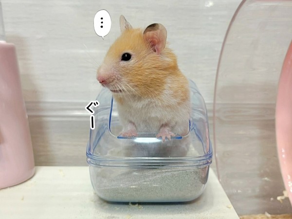 最安 今日のプリン(7/14追記) ライブドア by Powered ブンチョ日誌 : ノート・メモ帳