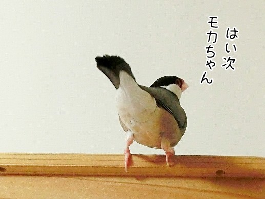 神々しい ブンチョ日誌 Powered By ライブドアブログ