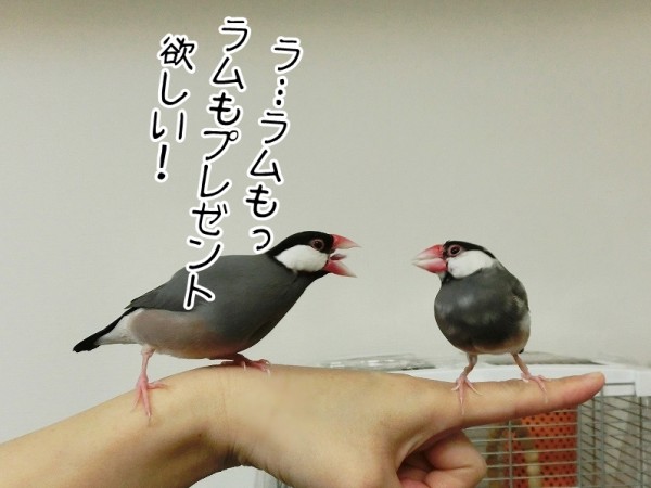 ああもう1ヶ月前なんですね ブンチョ日誌 Powered By ライブドアブログ ああもう1ヶ月前なんですね ブンチョ日誌 Powered By ライブドアブログ