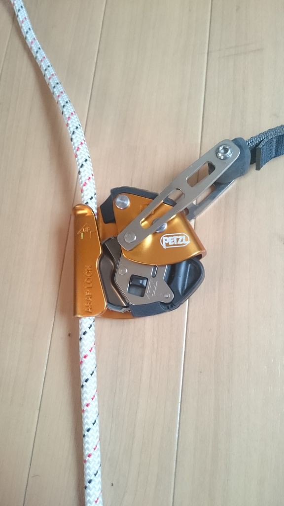 PETZL アサップロック インプレ : とある窓拭きのぶらぶらライフ