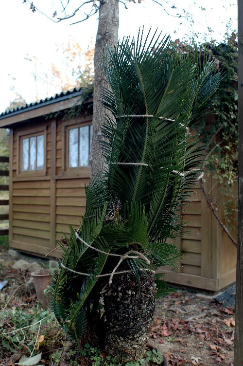 冬になるまえに 山里の暮らし