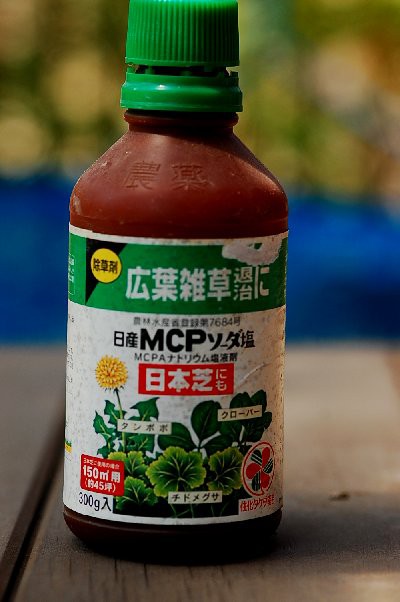 除草剤のスポット散布 山里の暮らし