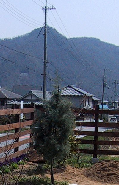 雨後の庭作業は 山里の暮らし