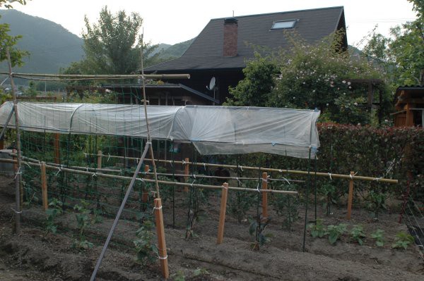 トマトの屋根を作る理由 山里の暮らし