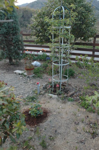 木製のオベリスクを作る 完成編 木漏れ日のさすガーデン