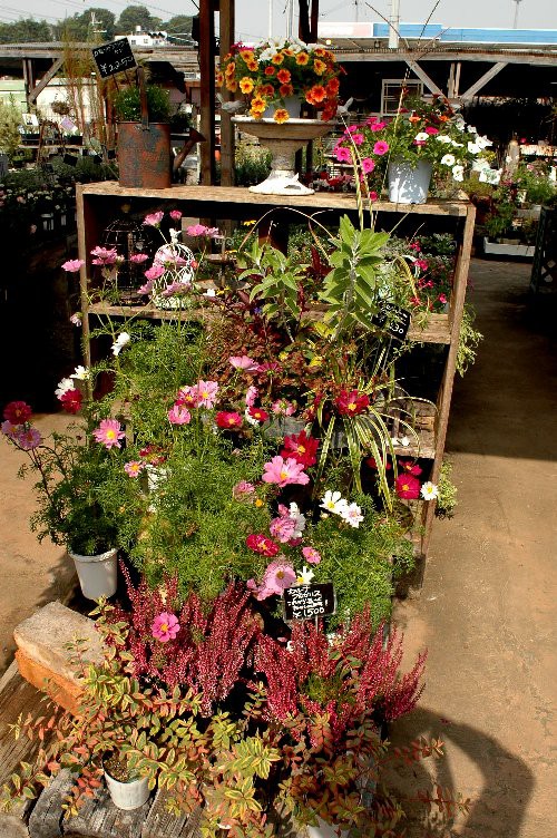 園芸店で見た寄せ植えの数々とディスプレイ 山里の暮らし