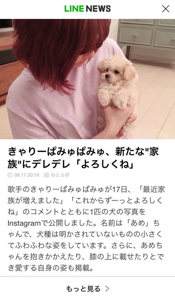 きゃりーぱみゅぱみゅの あめちゃん ｓｎｓでも大好評 猫よっといで 動物みんなよっといで Come On Catsandanimals