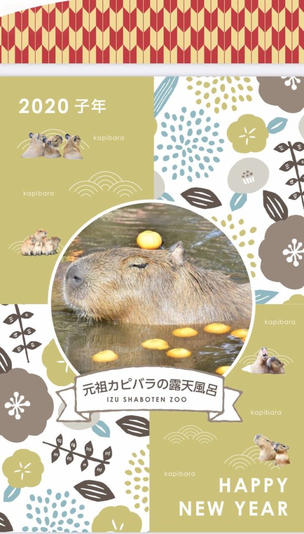 冬至には カピバラのユズ湯 が風物詩 猫よっといで 動物みんなよっといで Come On Catsandanimals