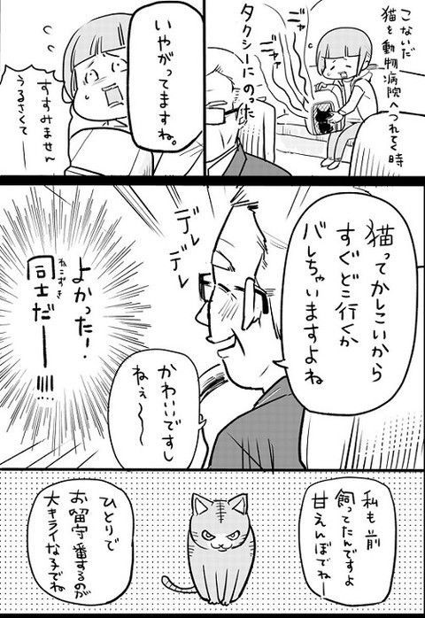 Twitterで絶賛更新中人気漫画 犬と猫どっちも飼ってると毎日楽しい 猫よっといで 動物みんなよっといで Come On Catsandanimals