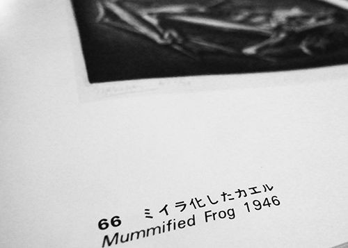 35年も前のエッシャー展とカエルについて Caeru Blog カエルのおへそ 35年も前のエッシャー展とカエルについて Caeru Blog カエルのおへそ