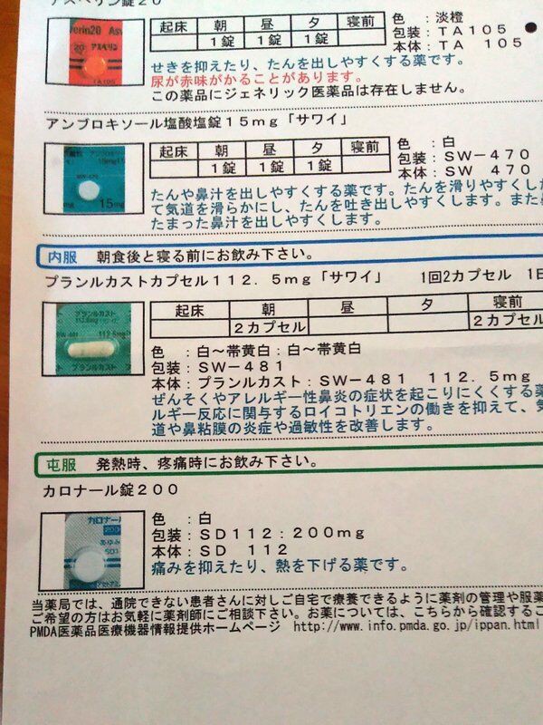 新型コロナ陽性療養記 ボルゾイな生活