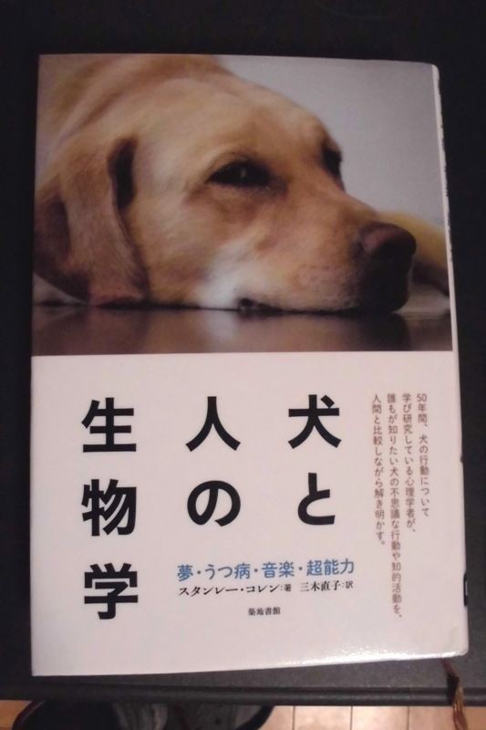 木曜日は図書館へ : ボルゾイな生活