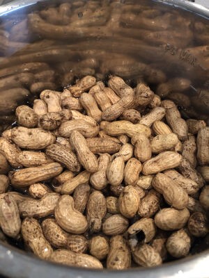 やってみた ピーナツの塩ゆで 時短できるかな インスタントポット 蓼食う虫もテキサス Powered By ライブドアブログ