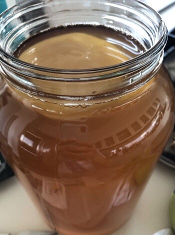 菌活 腸活 免活 コンブチャ 紅茶キノコ 仕込んだ 蓼食う虫もテキサス Powered By ライブドアブログ