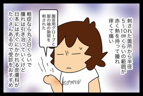 年ヒアリ被害報告 と対処法 ファイヤーアンツ 蓼食う虫もテキサス Powered By ライブドアブログ 年ヒアリ被害報告 と対処法 ファイヤーアンツ 蓼食う虫もテキサス Powered By ライブドアブログ