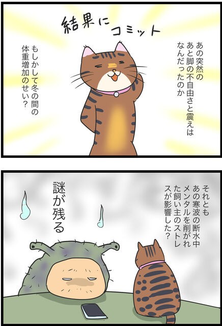 ねこちゃんの治療と回復 : 蓼食う虫もテキサス Powered by ライブドア