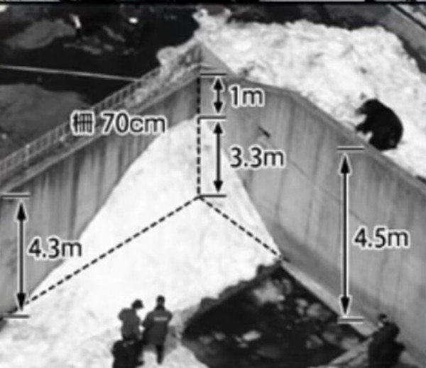 12年に秋田のクマ牧場で起こった飼育員2人が殺された羆害事件 原因がとんでもないものだった Camping Mag まとめちゃんねる