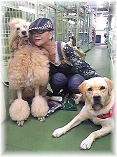 四谷zooの仲良しスター犬 最後の宣教者 殉教者シドッティの新聞記事 Candlecontactのblog