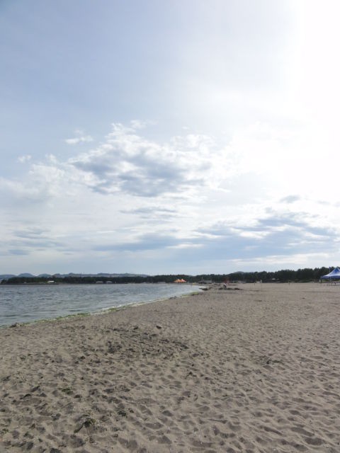 横浜市金沢区 海の公園 と 横浜八景島シーパラダイス 昨日の自分を越えるために