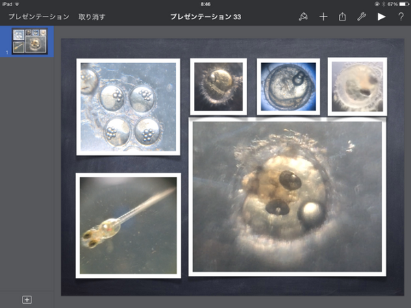 メダカの卵が成長する様子を撮る Ipadとiphoneで教師の仕事をつくる
