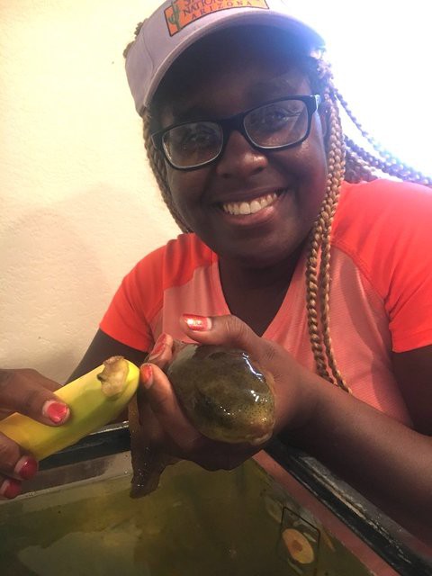 閲覧注意 池の水ぬいたら巨大オタマジャクシ出現 ナマズか 米国 アクアログ