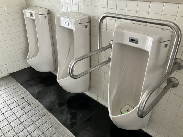 名鉄名古屋本線 有松駅改札外トイレ : 愛知県トイレ探索記