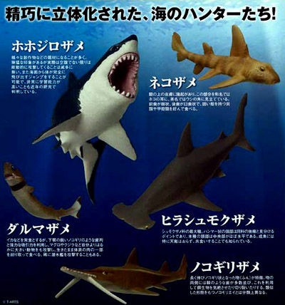 なぜ そんな感じになったの カプトイニュース