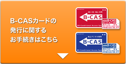 最も気に入った Mini B Cas 改造 番号 人気のある画像を投稿する