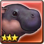 カバ Caravan Storiesやります