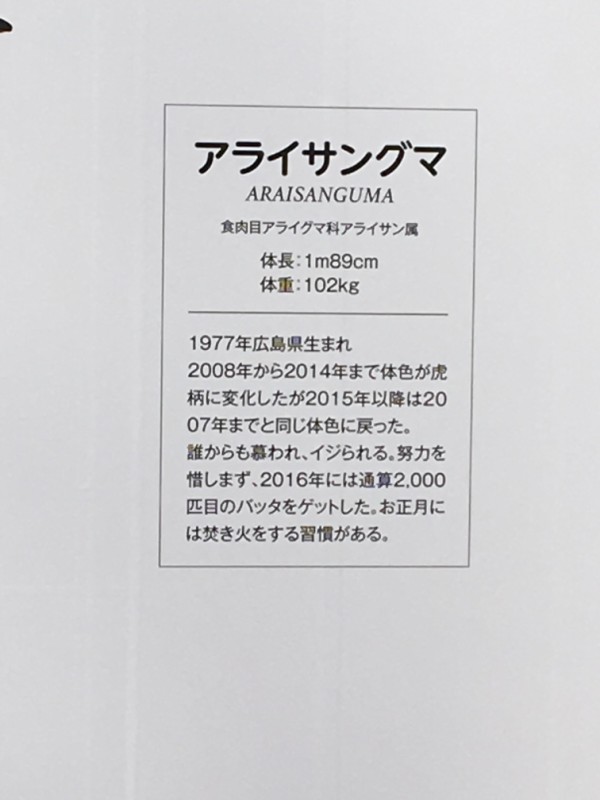 朗報 新井さんアライサングマになるｗｗｗｗ 広島東洋カープまとめブログ かーぷぶーん