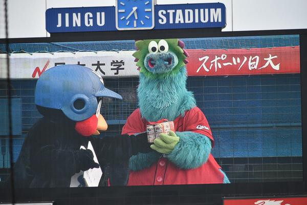 スラィリー つば九郎から缶ビールを貰う 歳の誕生日を るーびー プレゼントで祝福 広島東洋カープまとめブログ かーぷぶーん