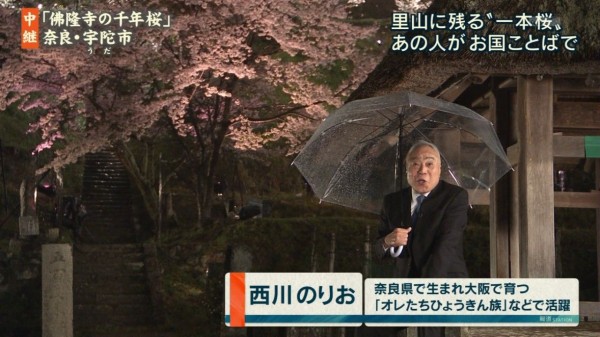 りお コメント の 西川