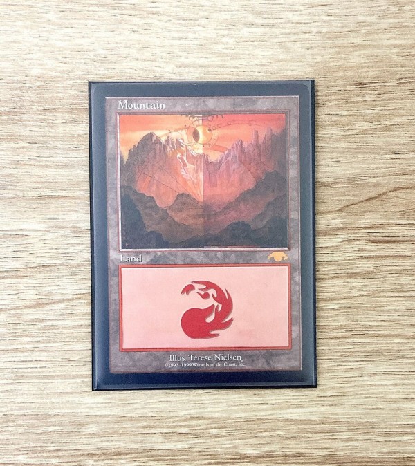 グルランド guruランド 山 基本土地  MTG Terese Nielsen Guru Island Terese Nielsen Magic the Gathering MTG Basic