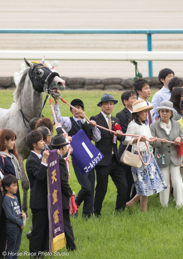 どこまでいっても ～第１５１回 天皇賞・春～ : Horse Race Photo