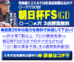 香港スプリント 16 速報 結果 エアロヴェロシティが復活の勝利 日本馬２頭は伸びを欠く結果に 敗因分析のバイブル 競馬をやって何が悪い