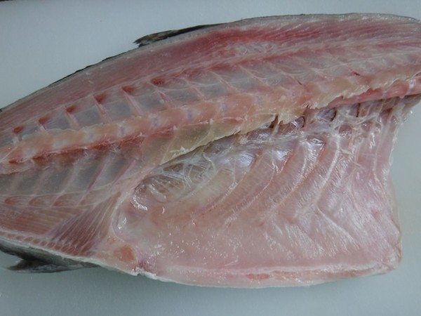 魚を扱う人間が考える熟成を前提にした魚の処理 デッドオアアライブ釣行記