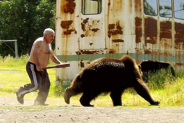 熊より怖い おもしろ動物画像のblog