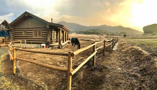 ログハウスと元競走馬と移住者の物語 その２ 元競走馬のrockと共に地域のなかで生きる Sakuragawa Hunter Blog