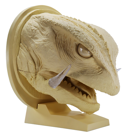 幻の究極造形 ガメラ（1995）ヘッドモデル商品詳細 : CCPJAPAN