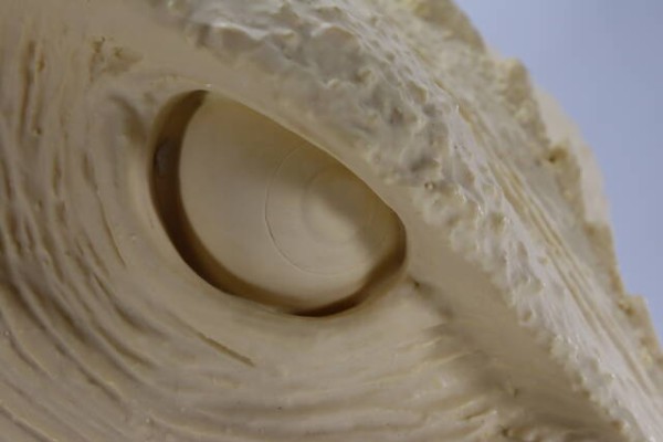 1/1レプリカ幻の究極造形CCPJAPAN原口智生ガメラ1995ヘッド彩色版 SHOP.CCP.JP / 【前入金】幻の究極造形 CCPJAPAN×原口智生