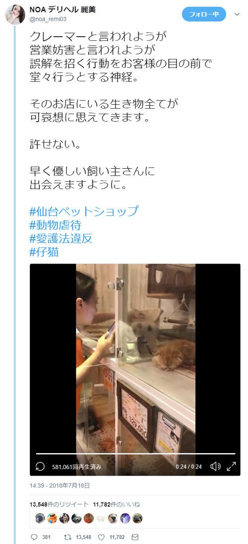 仙台のペットショップが仔猫をわしづかみにして揺さぶるなどの虐待に対し客が動画撮影していた 動かぬ証拠 そこからブログ