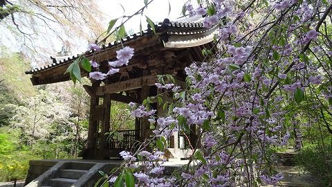 ２０１４年5月 例会レポート 駒ケ根高原家族旅行村 アルプスの丘 千葉ファミリーキャンピングクラブ