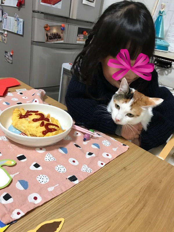 子供と猫ちゃん 神戸 地域ねこ西神のゆるーいお話だよん 子供と猫ちゃん 神戸 地域ねこ西神のゆるーいお話だよん