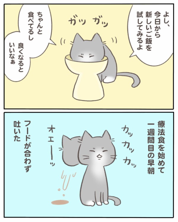 うちの猫の『少食』の原因がわかった話11 : マンガと私と猫ブログ 