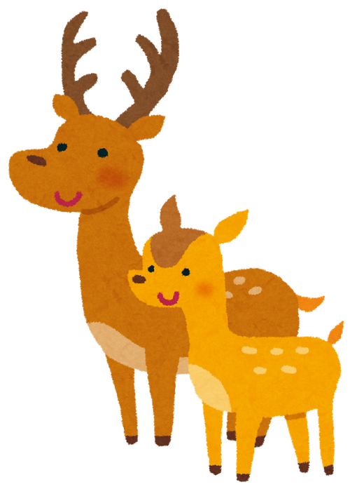 奈良県 鹿せんべい以外鹿に与えるの禁止 違反者には罰金 三度の