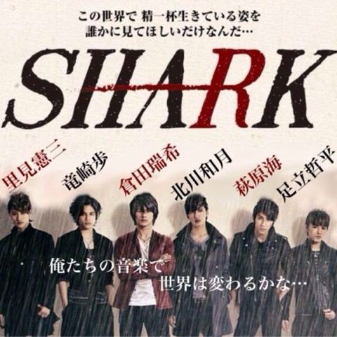 SHARK豪華版DVD初回限定:平野紫耀、濱田崇裕、松村北斗、岩本照 SHARK豪華版DVD初回限定:平野紫耀、濱田崇裕、松村北斗、岩本照